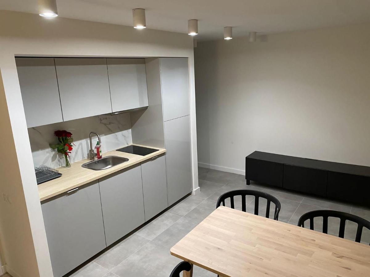 V3 Korfantego 20 Apartment คาโตวีตเซ ภายนอก รูปภาพ